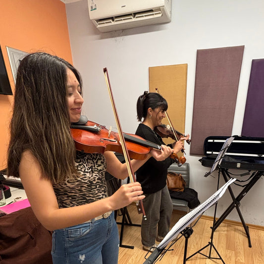 Taller de Violín Presencial en Salta Capital · 2 meses