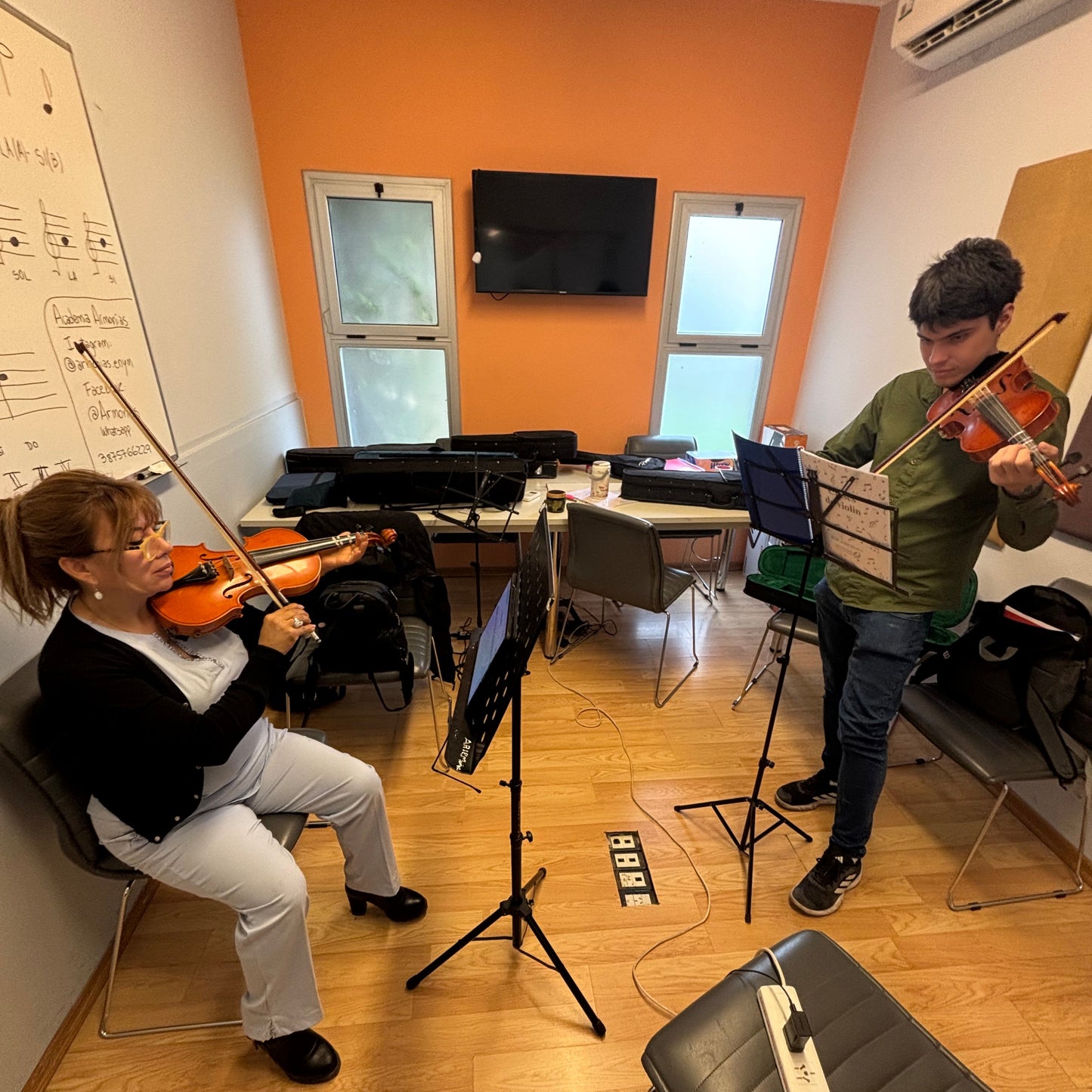Clases Presenciales de Violín en Salta Capital