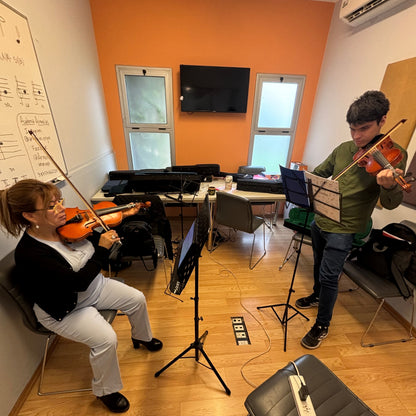 Clases Presenciales de Violín en Salta Capital