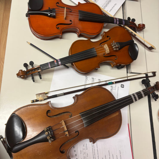Clases Presenciales de Violín en Salta Capital