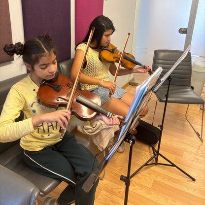 Clases Presenciales de Violín en Salta Capital
