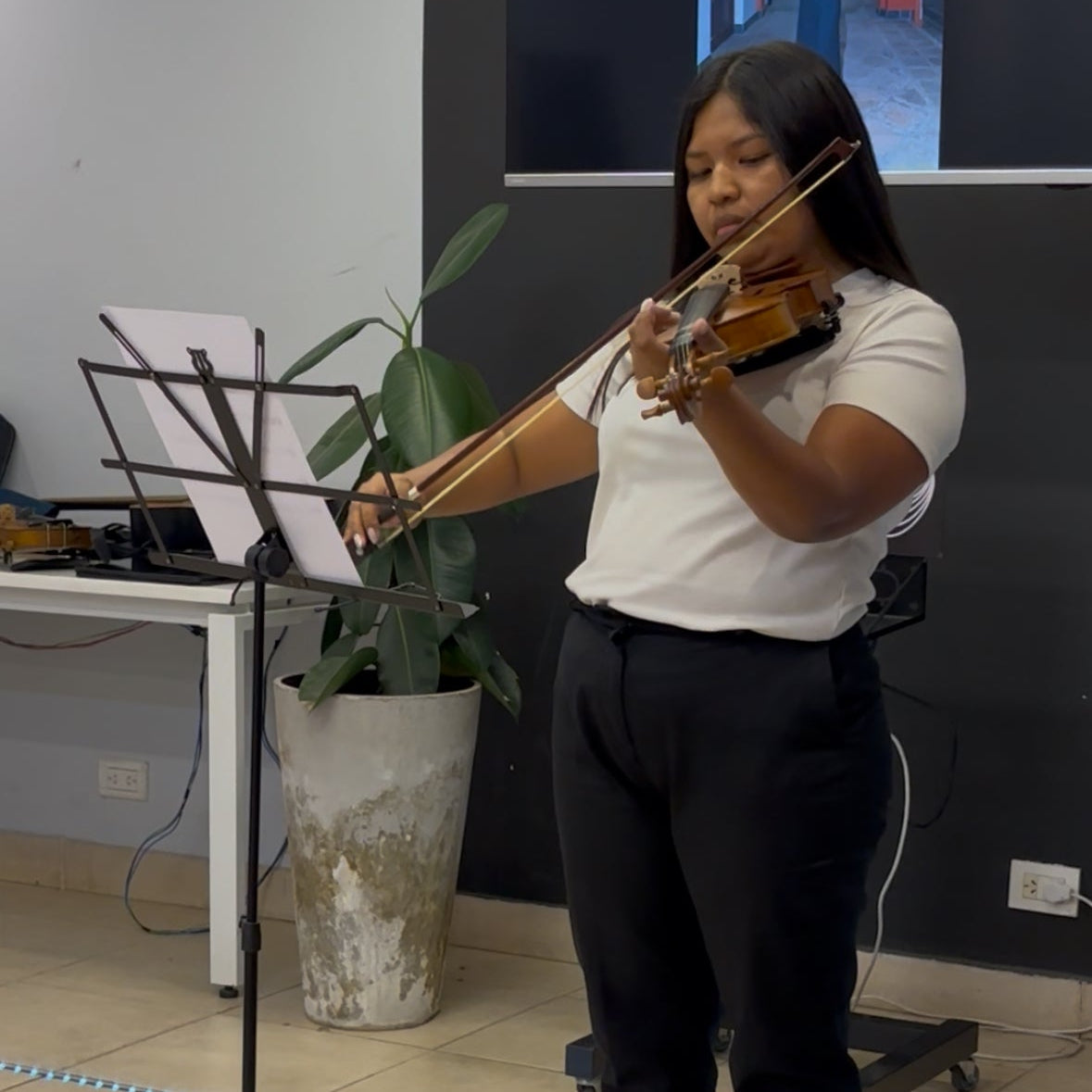 Clases Presenciales de Violín en Salta Capital