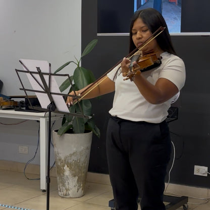 Clases Presenciales de Violín en Salta Capital